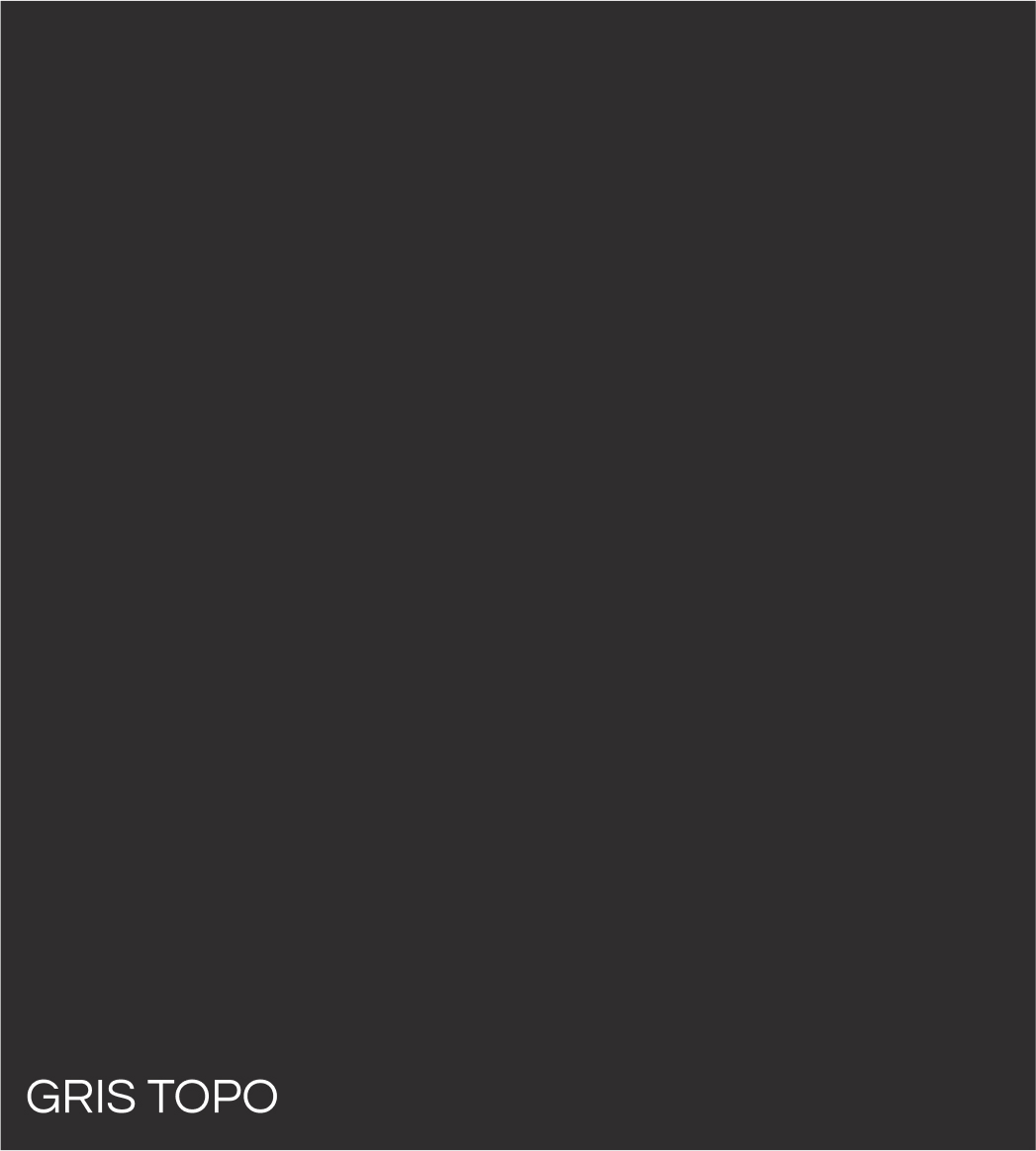 GRIS TOPO