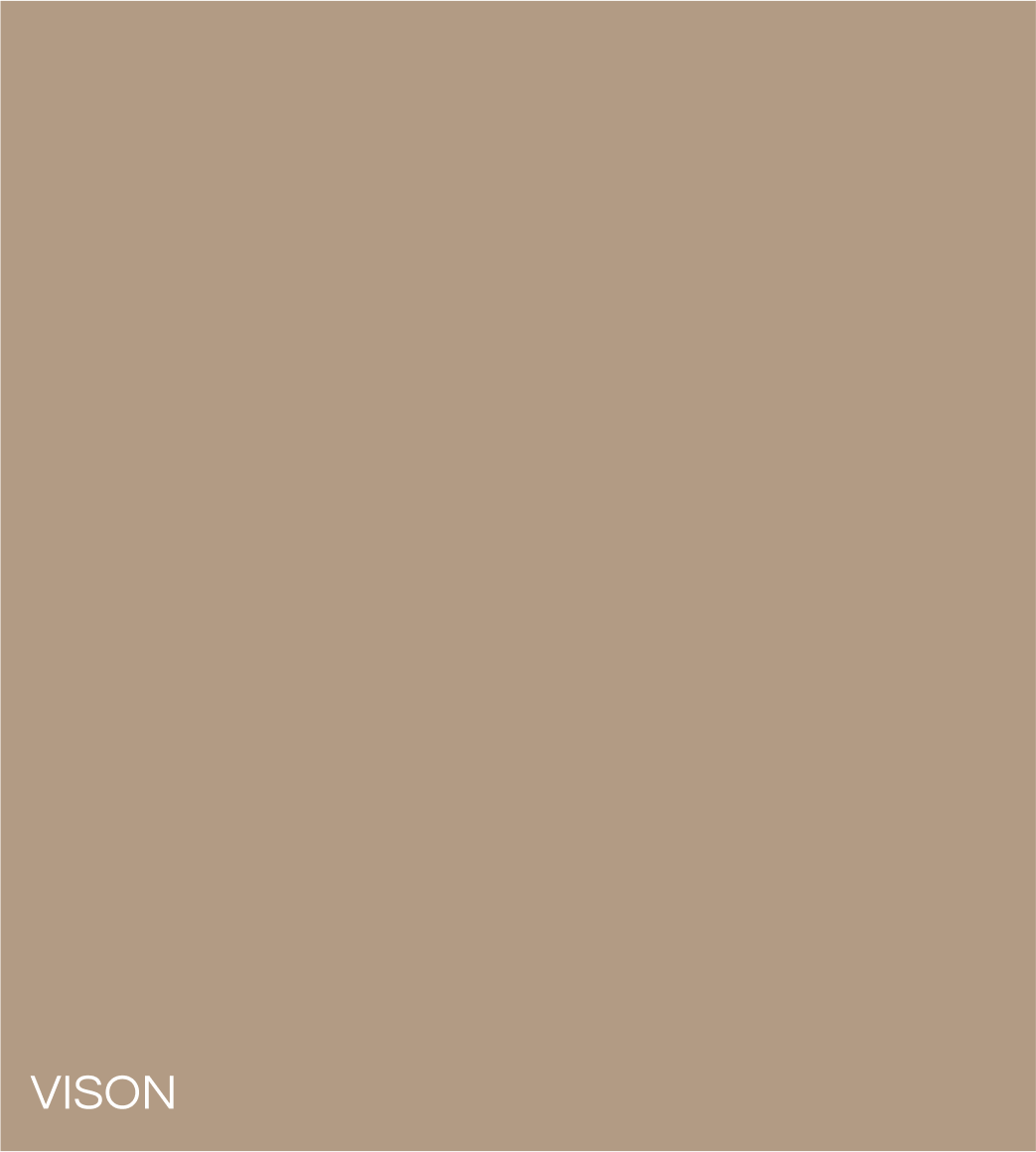 VISON